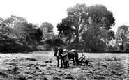 Haymaking By St Mary's Church 1912, Netherbury