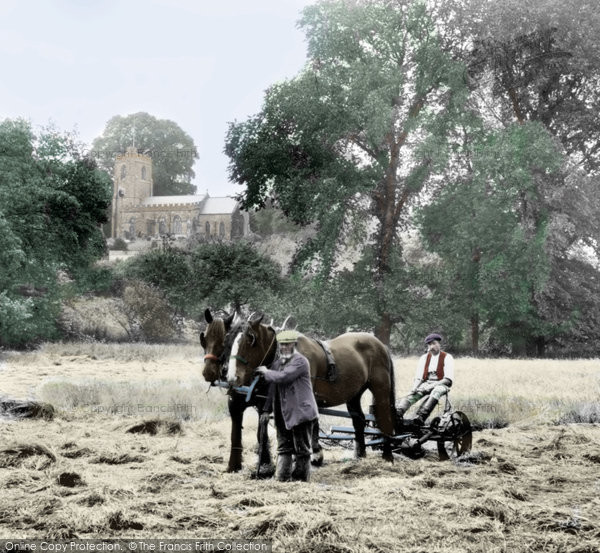 Photo of Netherbury, Haymaking By St Mary's Church 1912