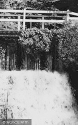 The Waterfall c.1955, Netherbury