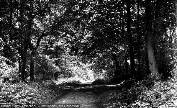 Photo of Nettlebed, The Woods c.1955