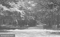 The Woods c.1955, Nettlebed