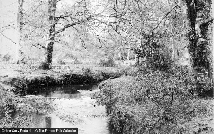 Photo of New Forest, Bartley Water c.1893
