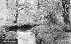 Bartley Water c.1893, New Forest