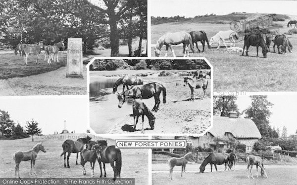Photo of New Forest, Composite c.1960
