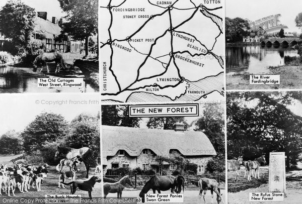 Photo of New Forest, Composite c.1960