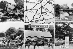 Composite c.1960, New Forest