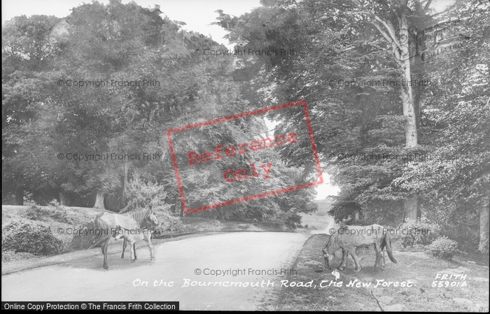 Photo of New Forest, On The Bournemouth Road 1906