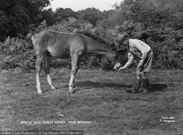 Photo of New Forest, Pony And Boy Near Beaulieu c.1960