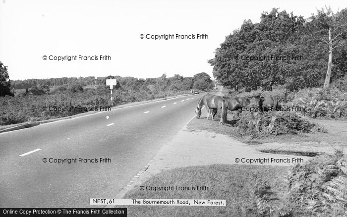 Photo of New Forest, The Bournemouth Road c.1960