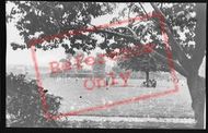 Recreation Ground c.1955, New Malden