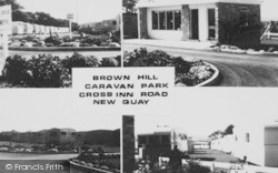 Brown Hill Caravan Park c.1960, New Quay
