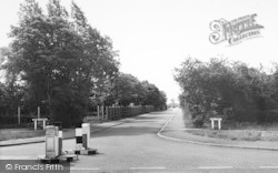 Enfield Avenue c.1960, New Waltham