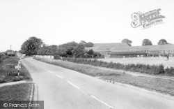 Waltham Road c.1960, New Waltham