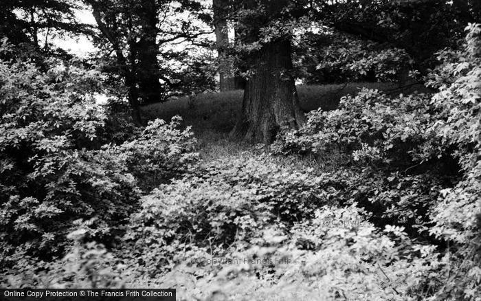 Photo of Newbury, Hampstead Marshall, Motte No2 c.1950