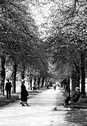 Victoria Park c.1955, Newbury
