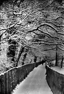 Heaton Park c.1884, Newcastle Upon Tyne
