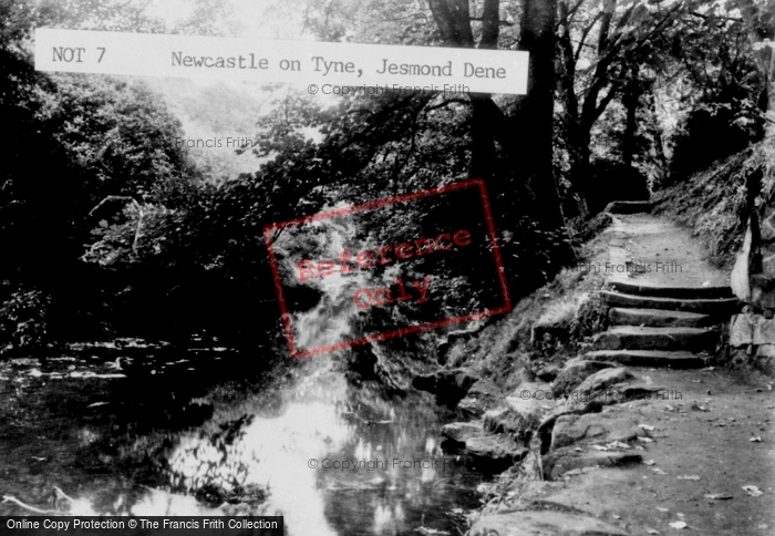 Photo of Newcastle Upon Tyne, Jesmond Dene c.1955