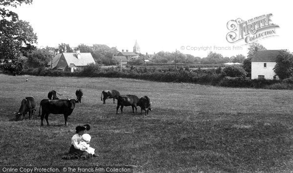 Photo of Newdigate, From Meadows 1906