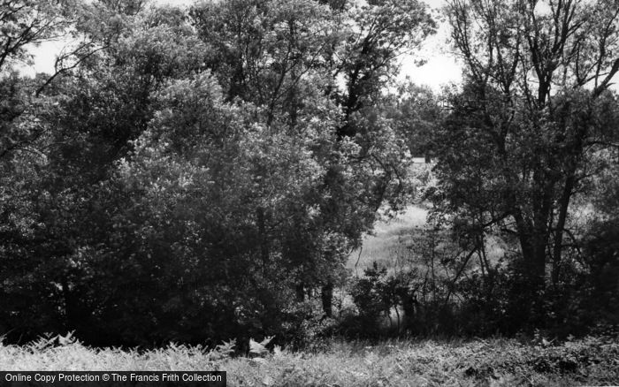 Photo of Newick, Fletching Common c.1965