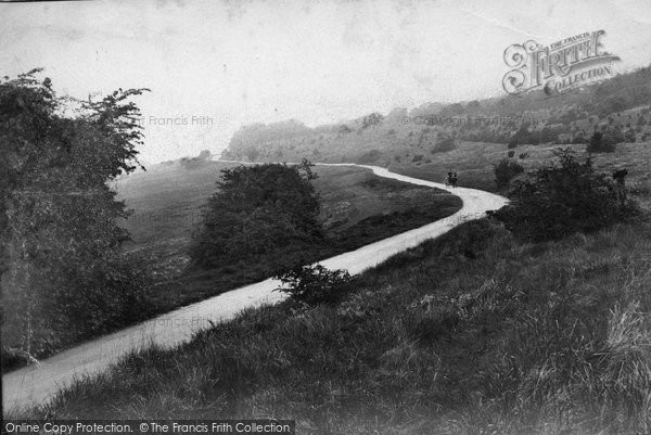 Photo of Newlands Corner, Downs 1911