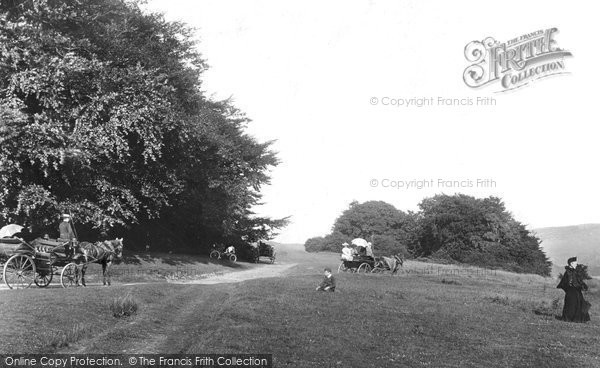 Photo of Newlands Corner, Merrow Downs 1904