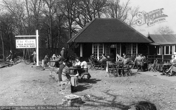 Photo of Newlands Corner, Tea Rooms c.1955