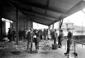 Fish Market 1920, Newlyn