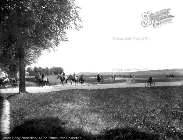 Photo of Newmarket, Horses At Exercise 1929