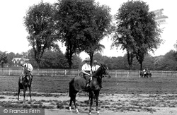 Racehorses 1922, Newmarket