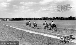 Racehorses Exercising, Bury-Side c.1960, Newmarket