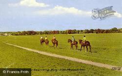 Racehorses Exercising, Bury-Side c.1960, Newmarket