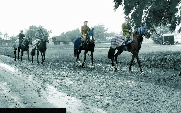 Photo of Newmarket, Racehorses Exercising c.1955
