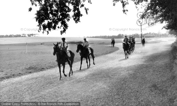 Photo of Newmarket, Racehorses On The Heath c.1960