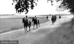 Racehorses On The Heath c.1960, Newmarket