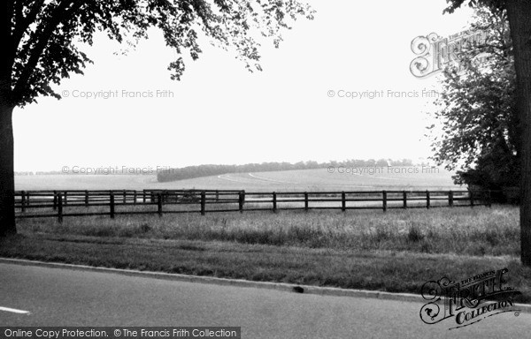 Photo of Newmarket, The Gallops, Bury Side c.1955