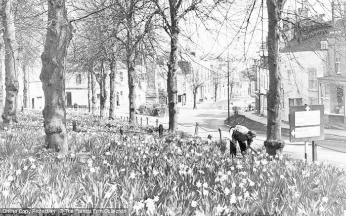 Photo of Newnham, The Daffodils, High Street c.1955