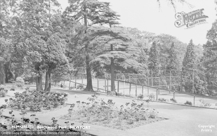 Photo of Newport, Beechwood Park c.1955