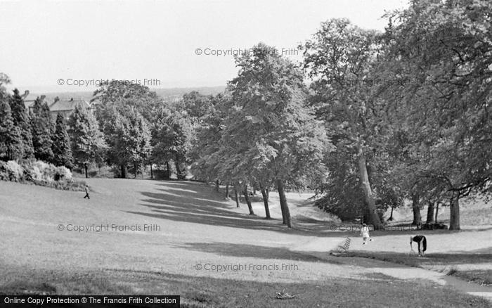 Photo of Newport, Beechwood Park c.1955