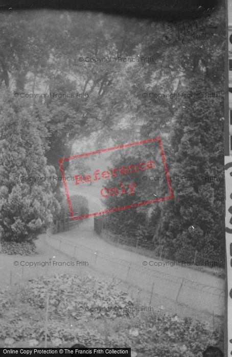 Photo of Newport, Belle Vue Park 1925
