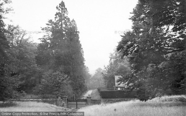 Photo of Newport, Chetwynd Firs c.1955
