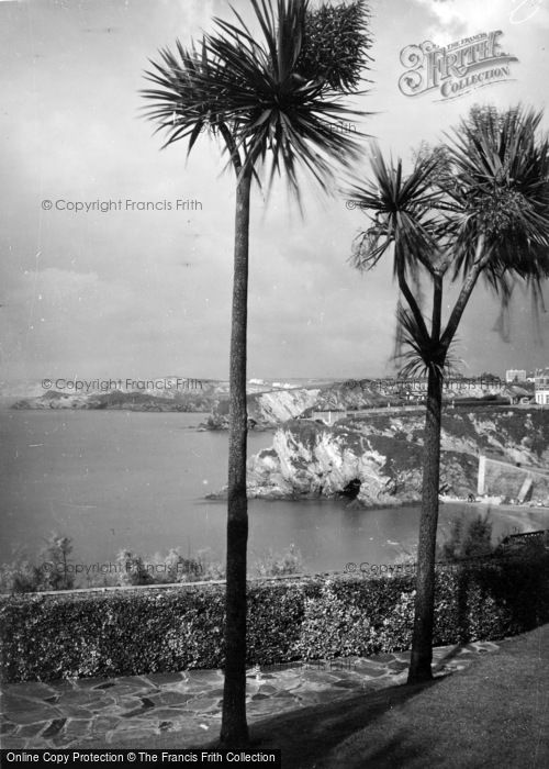 Photo of Newquay, Palm Trees c.1960