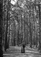 A Lady At Pine Walk, Milber Down 1890, Newton Abbot