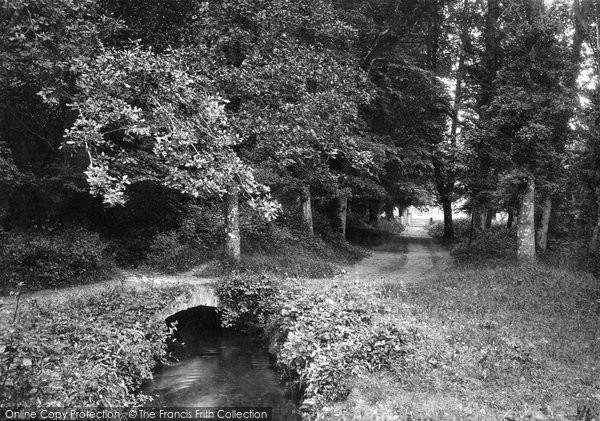 Photo of Newton Abbot, Bradley Woods 1890
