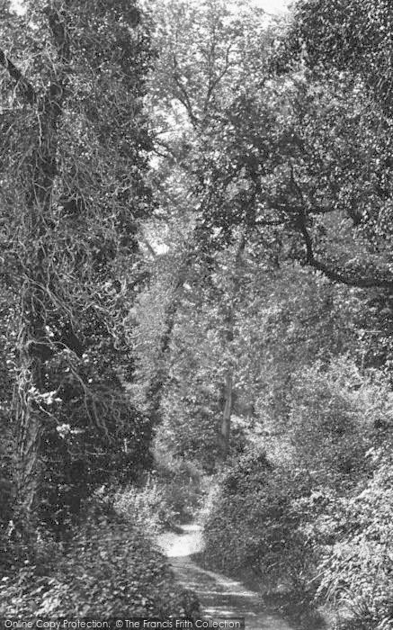 Photo of Newton Abbot, Bradley Woods, Love Lane c.1871