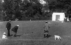Courtenay Park Bowling Green 1907, Newton Abbot