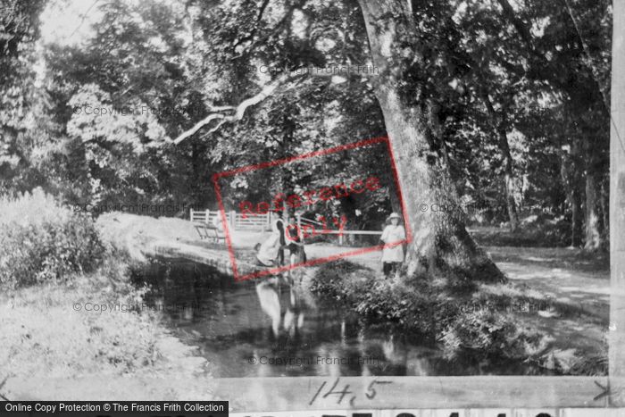 Photo of Newton Abbot, Entrance To Bradley Woods 1907