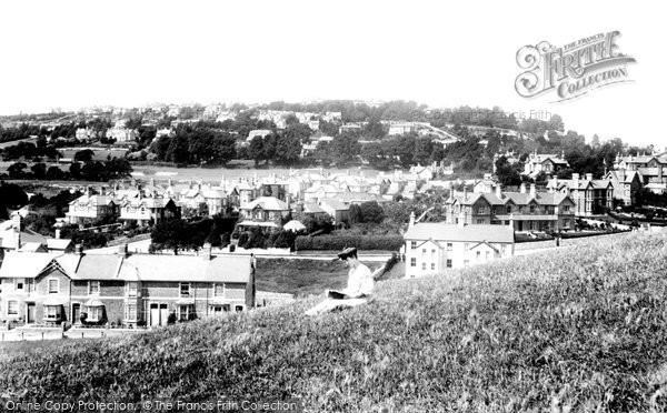 Photo of Newton Abbot, From Decoy 1906