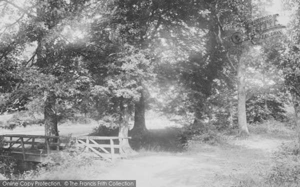 Photo of Newton Abbot, In Bradley Woods 1907