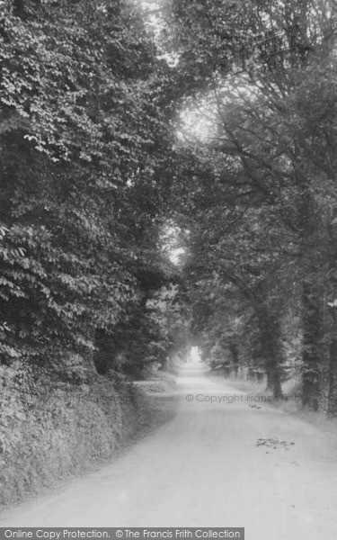 Photo of Newton Abbot, Lane To Seale Hayne College 1918