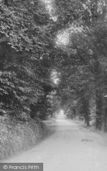 Lane To Seale-Hayne College 1918, Newton Abbot